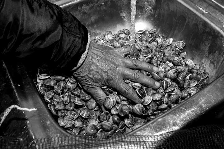 mano di uomo che pulisce le telline nel lavandino con l'acqua che scorre