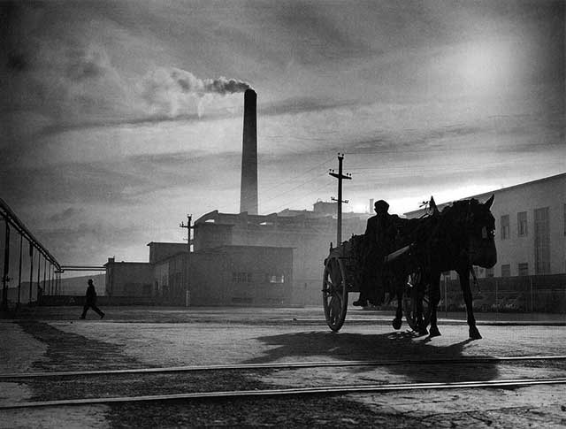 carretto con cavallo sulla strada con dietro fabbrica con ciminiera che fuma