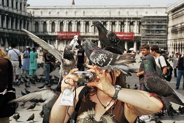 donna in piazza san marco con tre piccioni in testa che scatta una foto
