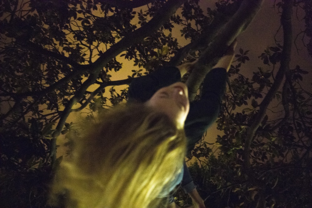 bambina bionda appesa ad un ramo di un albero