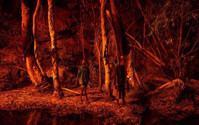 due ragazzi camminano nella foresta in fiamme con le torce