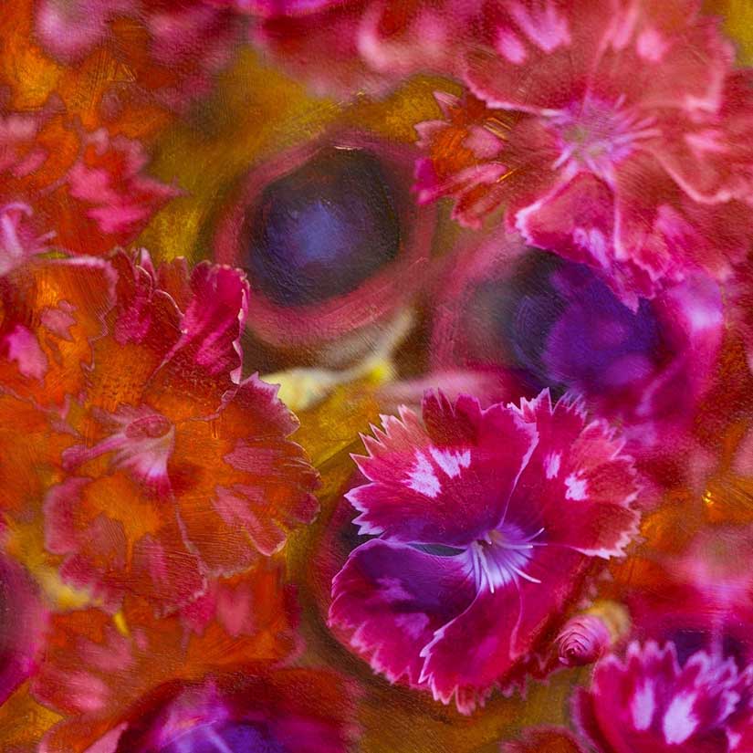 fiori rosa e viola
