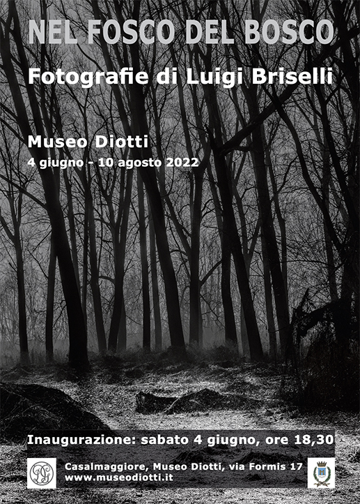 Locandina Luigi Briselli