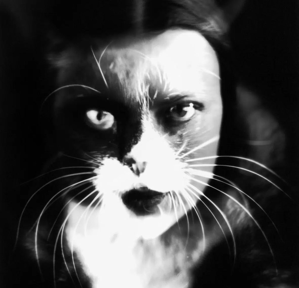 immagine di volto di donna sovrapposto a muso di gatto