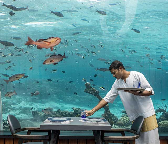 ragazzo in camicia bianca che apparecchia la tavola davanti a enorme vetro contenente acquario con pesci colorati