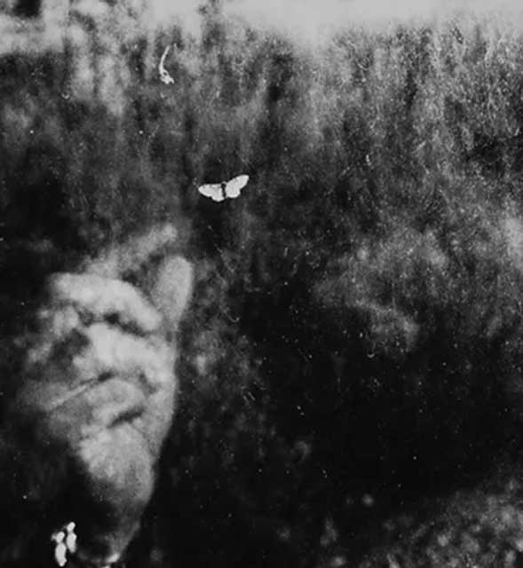 foto in bianco e nero sfocata di mano di uomo fra l'erba alta che sta per afferrare con due dita una piccola farfalla