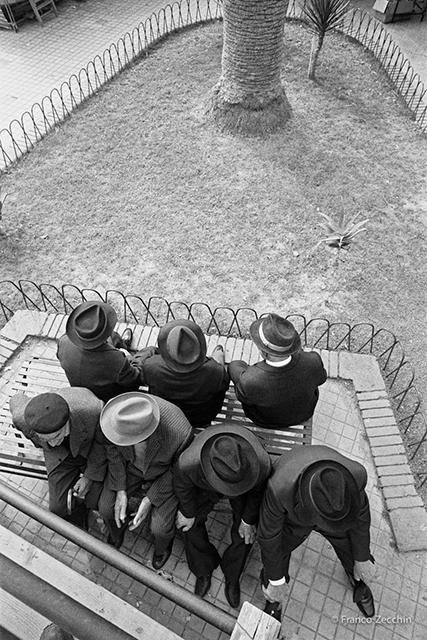 Franco Zecchin cotinente Sicilia sette uomini ben vestiti con cappello in testa visti dall'alto seduti su una panchina in un giardinetto con un'aiuola recintata e un albero sul fondo