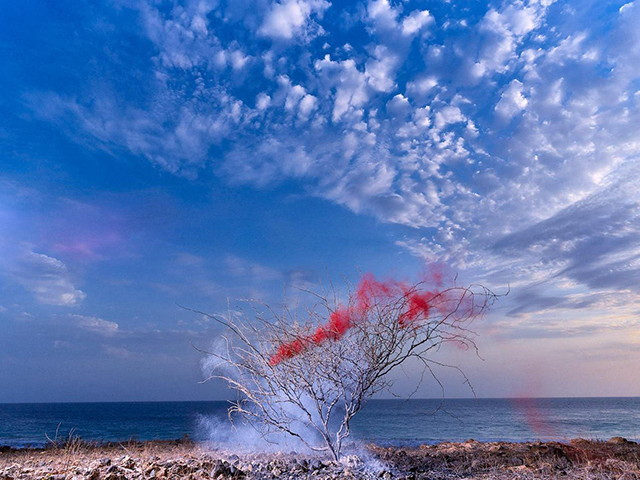 toni meneguzzo DIPTYCH' paesaggio a colori con albero con rami secchi circondato da fumo bianco e rosso piantato su striscia di sabbia e ciottoli con dietro mare blu e cielo blu con nuvole rade bianche