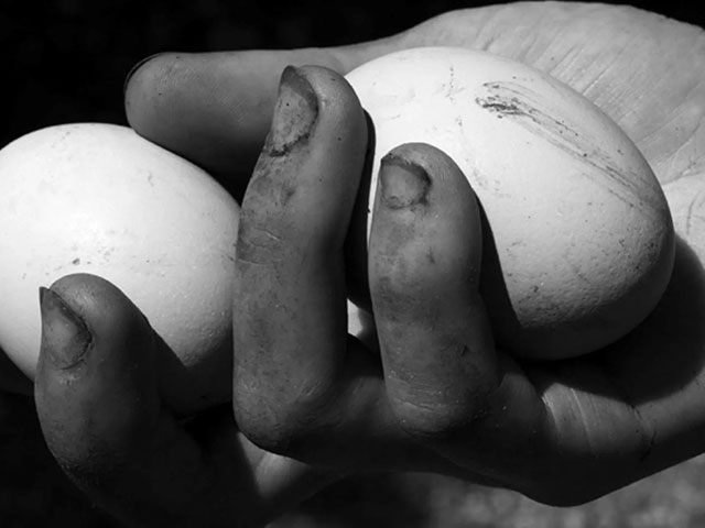 Denis Piel Down to earth foto in bianco e nero di mano aperta con dita e unghie sporche che tengono due uovae ie corte che t