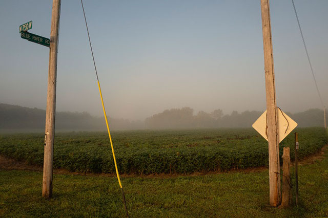 rebecca norris web inland foto a colori di campo verde coltivato con davanti due pali della luce di cui su uno un cartello diagonale visto al contrario