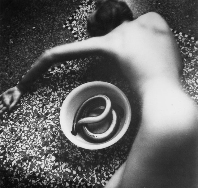 Francesca Woodman Roma foto in bianco e nero di donna nuda sdraiata in terra a pancia sotto con accanto un serpente dentro una ciotola