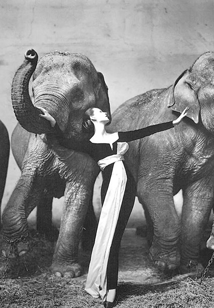 fotografia in bianco e nero di donna con elefante - richard avedon