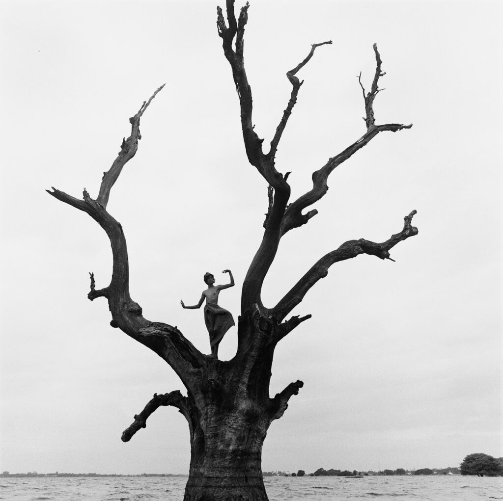 Fotografia Zeropixel Trieste foto in bianco e nero grande albero spoglio con sopra figura di donna in posa con le braccia alzate