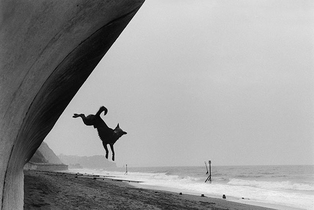 Roger Deakins Bologna foto in bianco e nero di figura di cane che salta su una spiaggia con mare agitato e cielo grigio