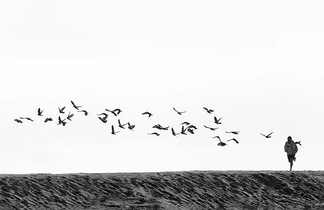 Sue Park Senigallia foto in bianco e nero di uomo che corre lungo la spiaggia circondato da uccelli in volo