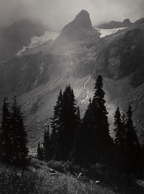 Luce della montagna Brescia foto in bianco e nero di grandi alberi e montagne
