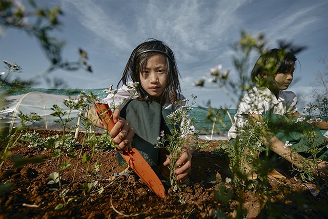 Gianfranco Ferraro Bergamo foto a colori di bambina in un campo accovacciata che zappa la terra