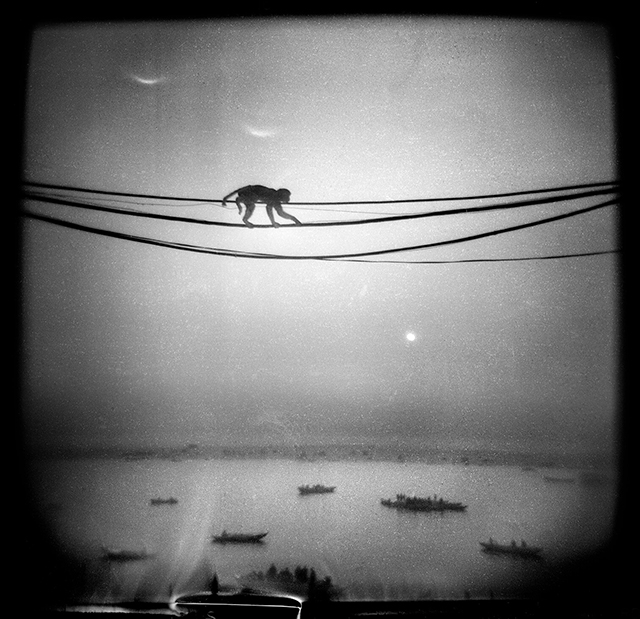 Michael Ackerman Napoli foto in bianco e nero di scimmia che cammina sui fili della luce con sotto mare e barche