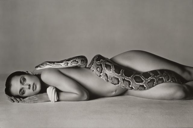 Richard Avedon Palermo foto in bianco e nero dell'attrice Natassja Kinski nuda sdraiata di fianco con un serpente intorno al corpo