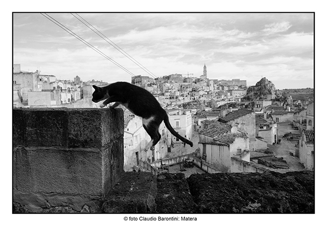 Claudio Barontini foto in bianco e nero di gatto nero che sale su muretto