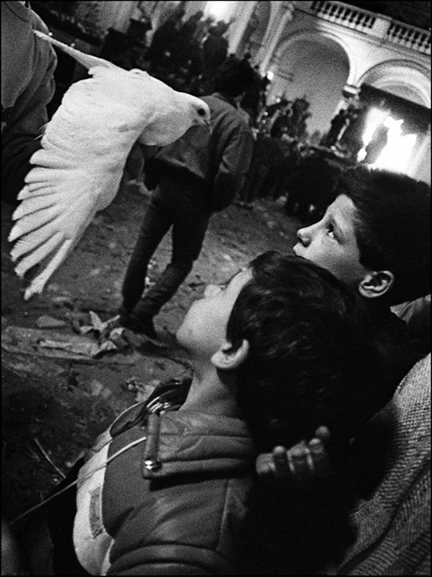 Letizia Battaglia Genova foto in bianco e nero di due bambini che guardano una colomba bianca in volo davanti a loro