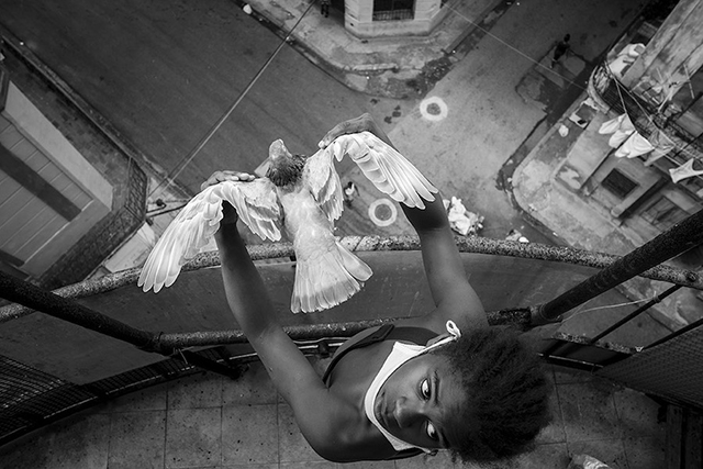 Festival internazionale di fotografia Verona foto in bianco e nero di bambino visto dall'alto che tiene in mano una colomba