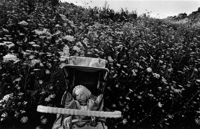 Narnimmaginaria 2023 Narni foto in bianco e nero di bambina in carrozzina in mezzo a campo di fiori