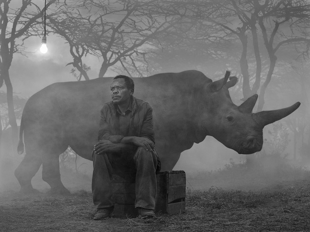 Fotografica Bergamo foto in bianco e nero di uomo seduto su cassetta di legno con dietro un rinoceronte
