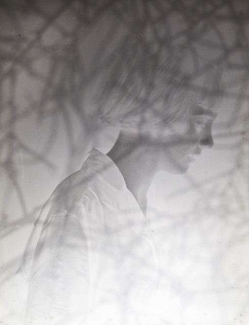 Alessandra Calò Bologna foto in bianco e nero di donna con camicia bianca di profilo fra rami di albero