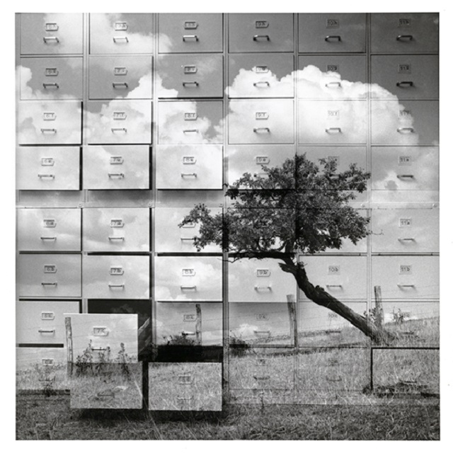 Marcello Vigoni e Marialuisa Tadei Venezia Immagine in bianco e nero di albero riflesso su una cassettiera