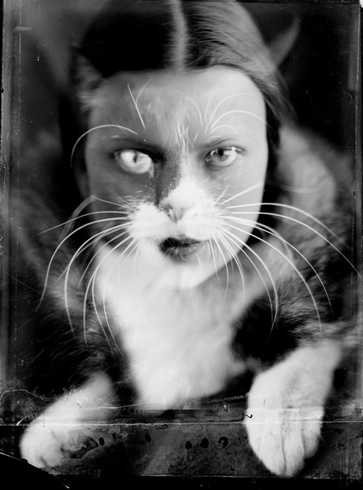Fotografia Wulz Trieste foto sovrapposte di donna e gatto