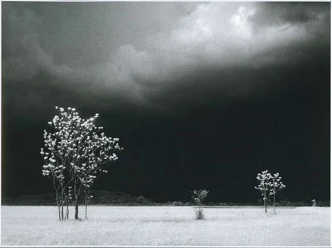 Elio Ciol Gemona paesaggio in bianco e nero